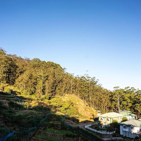 Forest View Lodge Nuwara Eliya Ngoại thất bức ảnh