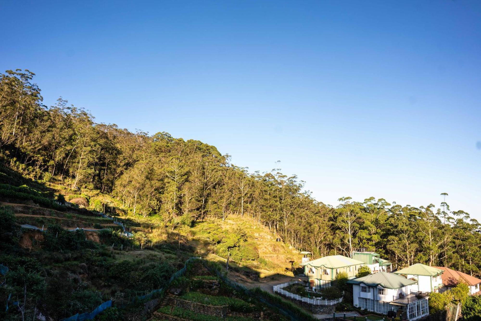 Forest View Lodge Nuwara Eliya Ngoại thất bức ảnh