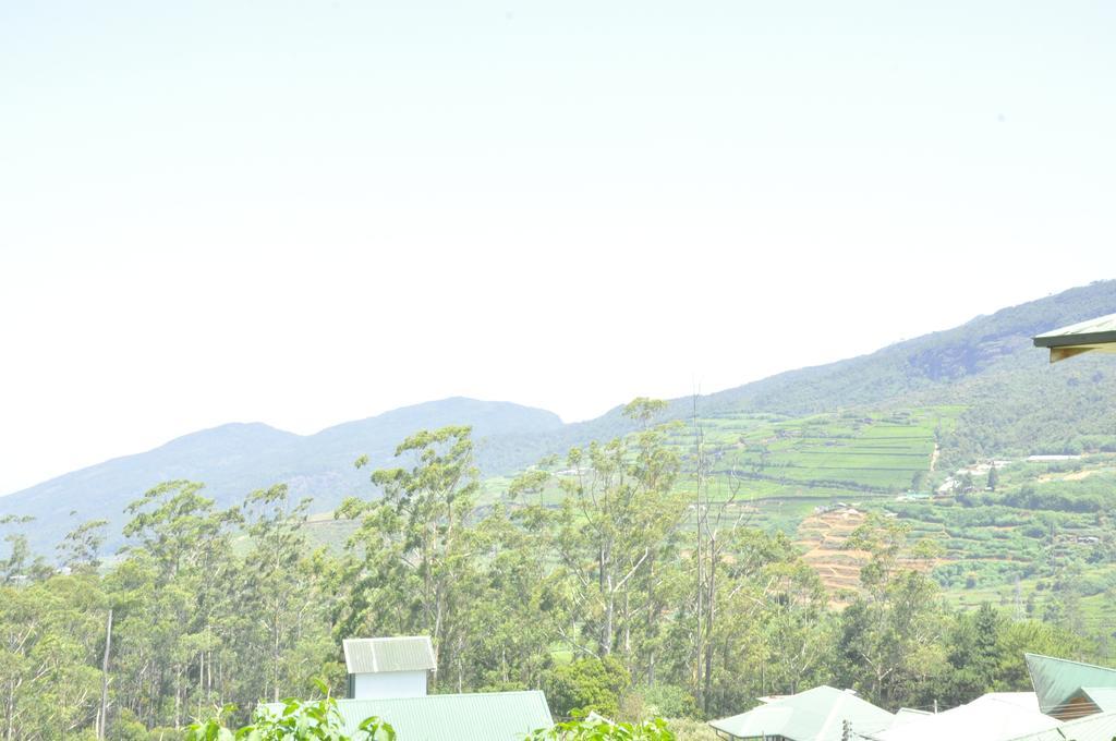 Forest View Lodge Nuwara Eliya Ngoại thất bức ảnh
